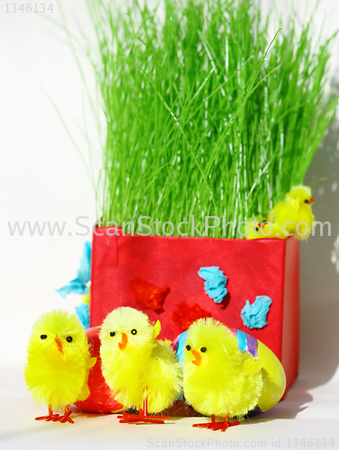 Image of Colored easter eggs and chickens in green grass with white backg