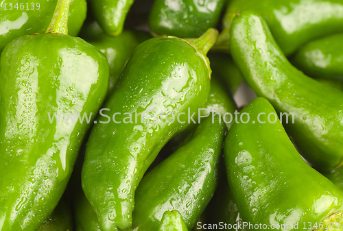 Image of Padron peppers