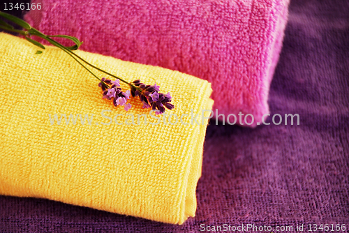 Image of Colorful towels