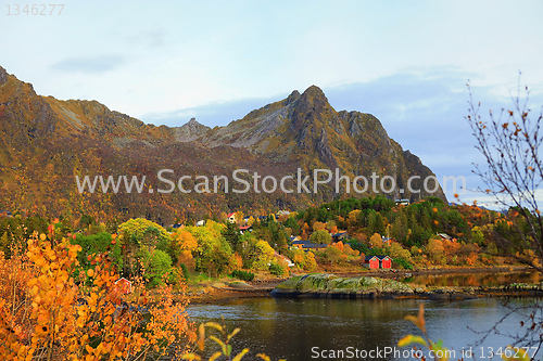 Image of Boathouses