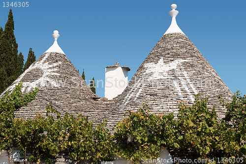 Image of Trulli houses in Alberobello