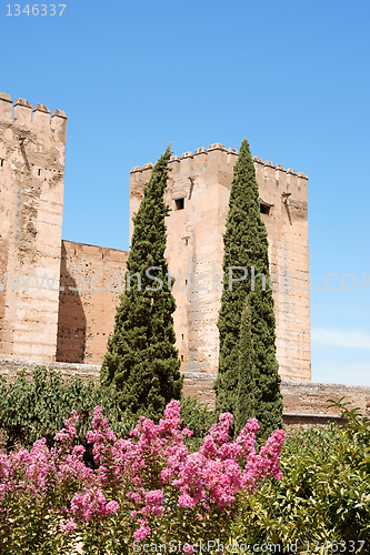 Image of The Alcazaba in Granada