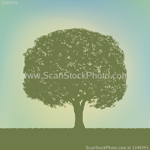 Image of Floral vintage background. EPS 8