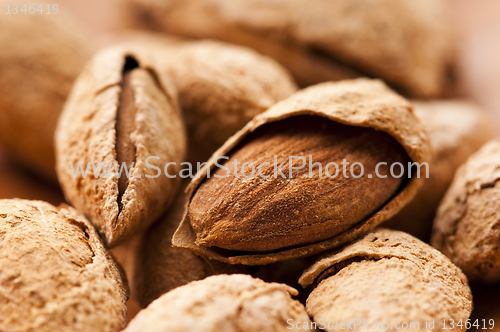 Image of Sweet almonds with kernel 