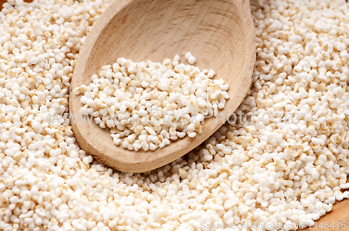 Image of Amaranth popping, gluten-free, high protein grain cereal