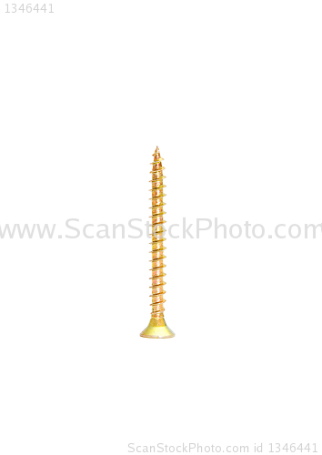 Image of Yellow screw 