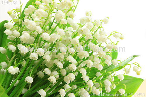 Image of Flowers