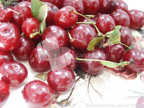 Image of Cherry