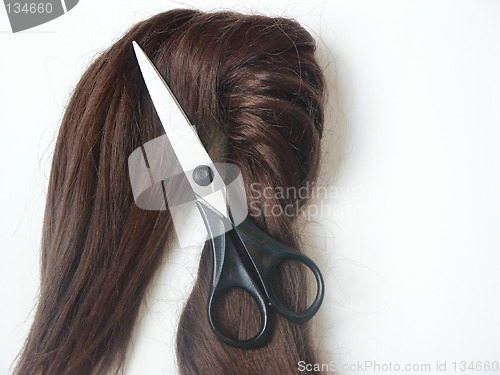 Image of Hair and scissors