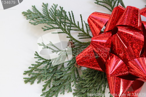 Image of Cedar and Red Bow