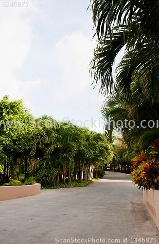 Image of Resort pathway