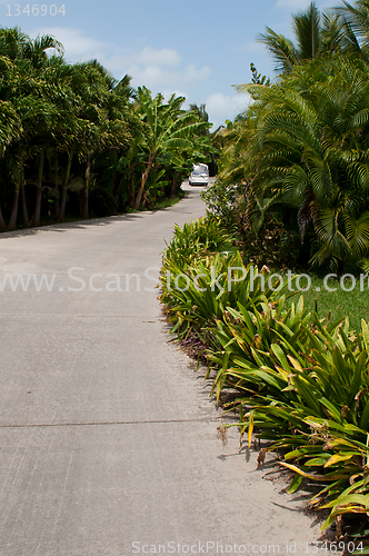 Image of Resort pathway