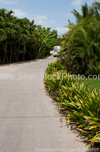 Image of Resort pathway