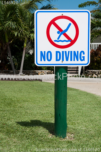 Image of No diving sign