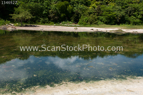 Image of Tropical lake