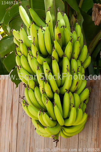 Image of Head of bananas