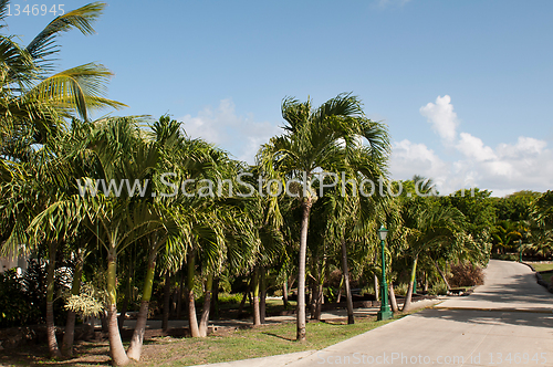 Image of Resort pathway