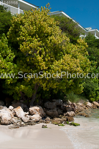 Image of Beach