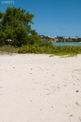 Image of Beach