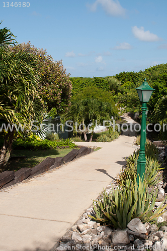 Image of Resort pathway