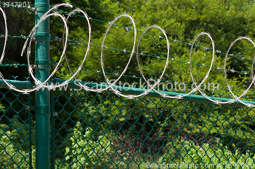 Image of Razor wire