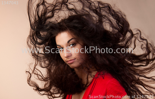 Image of Hairs on the wind