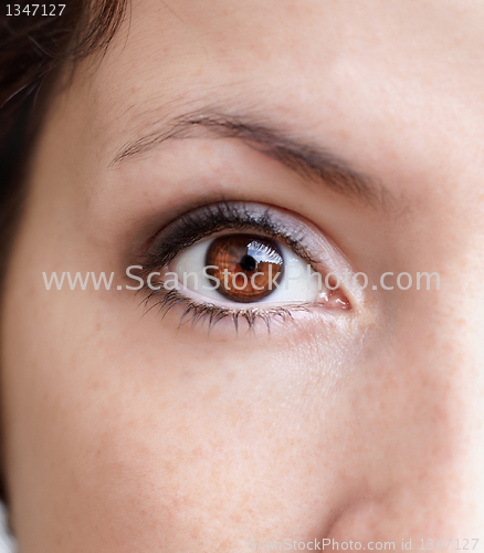 Image of brown eye