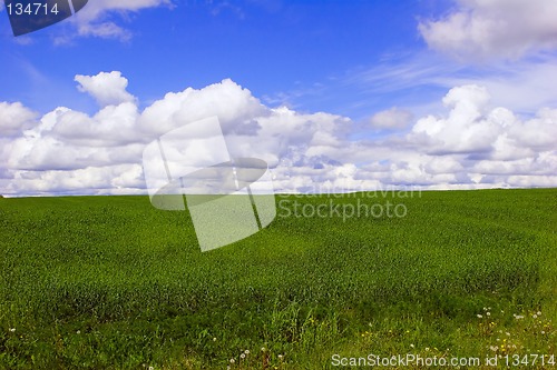 Image of Summer landscape