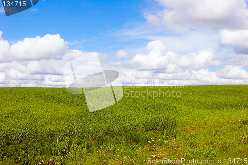 Image of Summer landscape