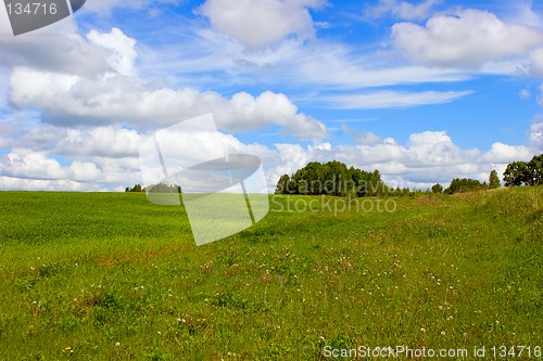 Image of Summer landscape