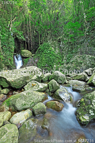 Image of Close-up of a beautiful relaxing waterfall 