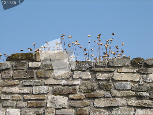 Image of wall