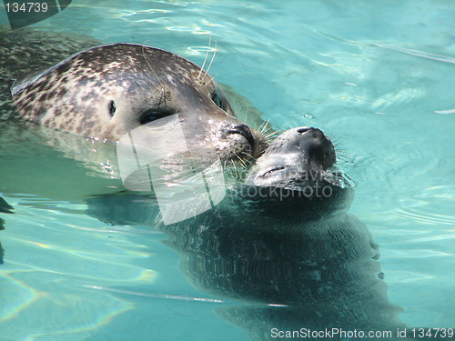 Image of mama and baby