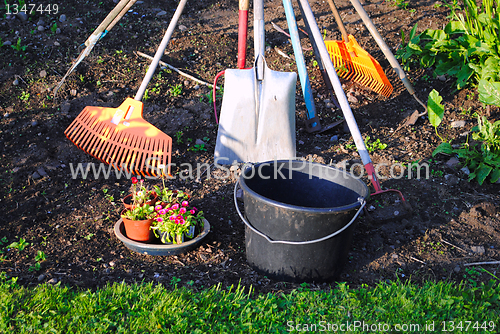 Image of Gardening