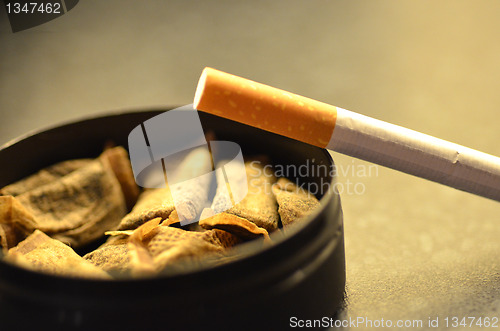 Image of Tobacco