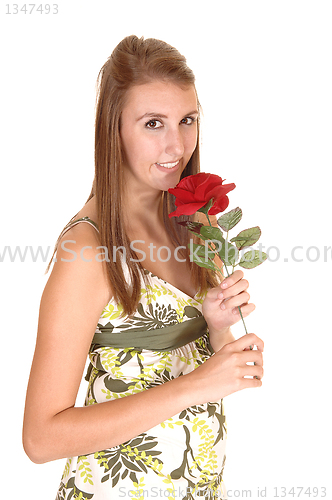 Image of Girl with rose.