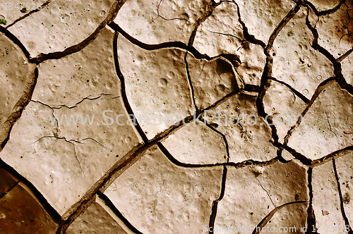 Image of Cracked earth