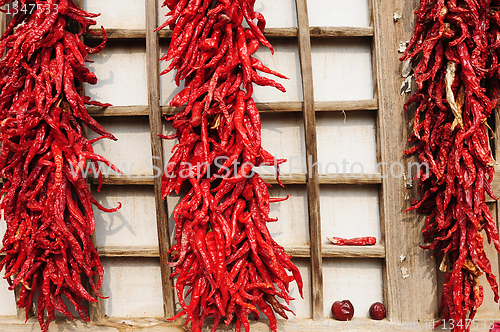 Image of Hot chili pepper