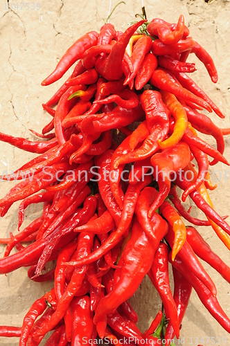 Image of Hot chili pepper