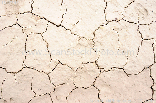 Image of Cracked earth