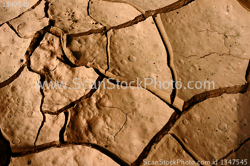 Image of Cracked earth