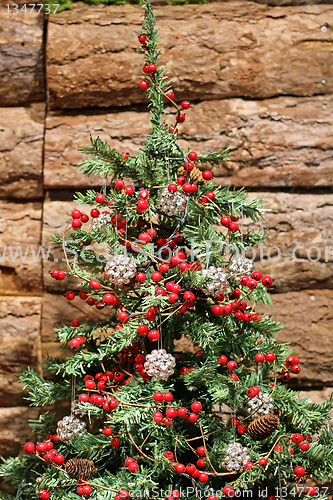 Image of Christmas tree