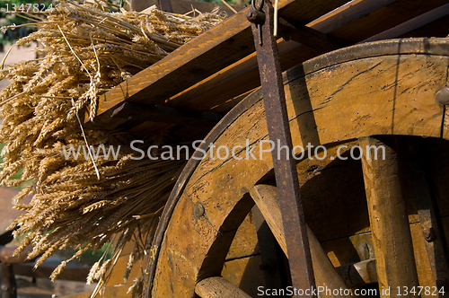 Image of Wheat