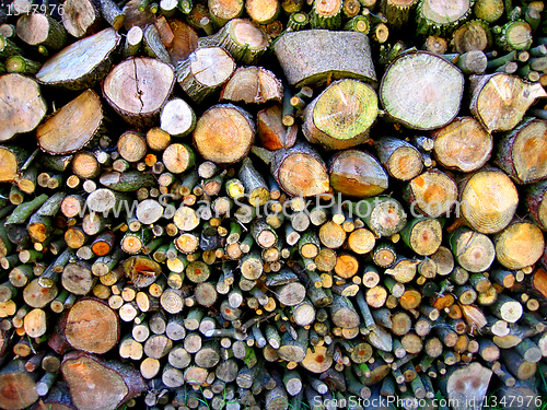 Image of wood texture