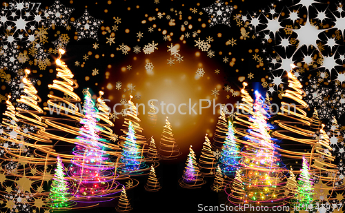 Image of xmas tree (forest)