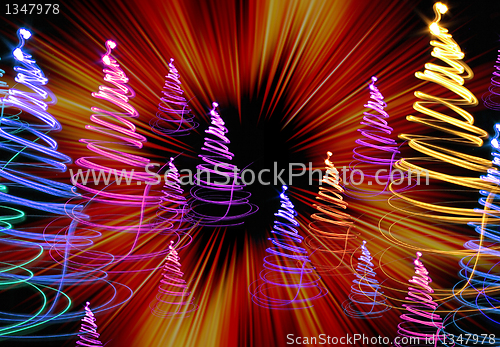 Image of xmas tree (forest)