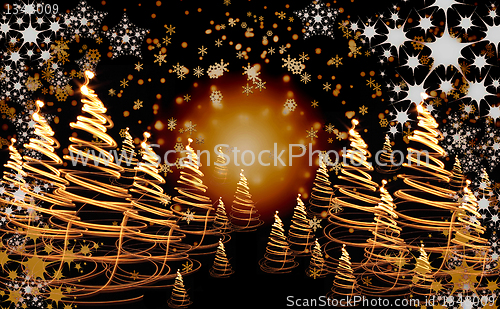 Image of xmas tree (forest)