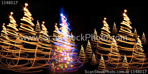 Image of xmas tree (forest)