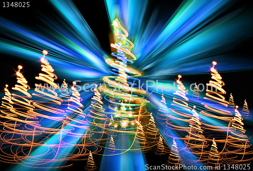 Image of xmas tree (forest)