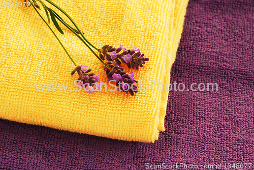 Image of Colorful towels